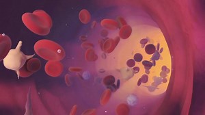 Animation Reel August 2012