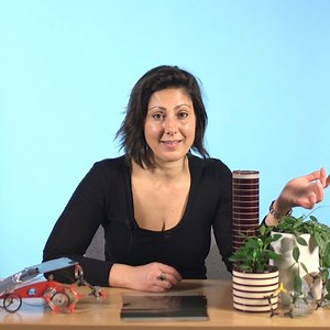 Our flexible solar panels provide access to clean energy - no matter where you are. Imagine all the possibilities! 🌞 We're celebrating science and skills for future industries during National Science Week - stay tuned! 👩‍🔬 #scienceweek Want more? https://www.csiro.au/showcase/NationalScienceWeek | CSIRO