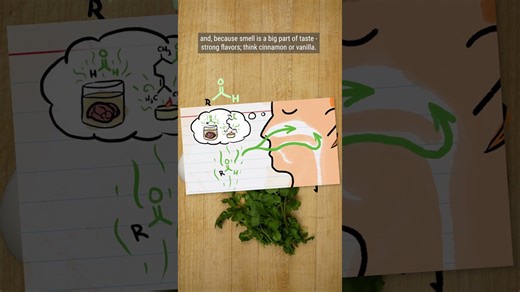 Why does cilantro taste like soap to some people? Why seaweed is perfect for vegetarian stocks