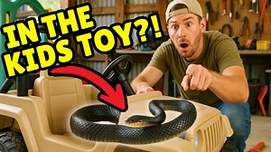 683K views · 7.5K reactions | Always Check Your Kids Outdoor Toys! - MASSIVE SNAKE FOUND! #snake #outdoors #nature #animals #Dangerous #animalrescue | Tails and Scales | Facebook