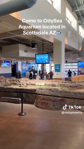 Family Fun at the Largest Aquarium in Phoenix, AZ