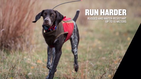 Garmin T 5X Dog Device, Tracking and Training Dog Device with Collar, Rugged and Water-Resistant, High-Sensitivity GPS, Blue