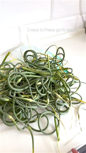 2 ways to freeze garlic scapes