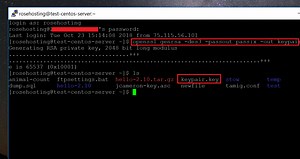 Openssl Generate Self Signed Certificate And Key