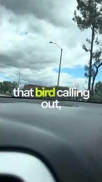 Magnetic Sounds Lab: Everything Is Frequency, Learn to Tune In. #MagneticSoundsLab#frequencyoflove