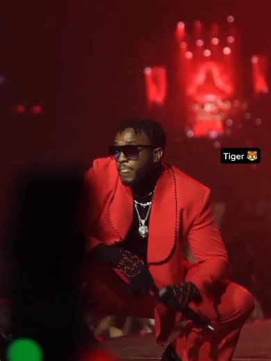 New Year Groove Concert Featuring Ben Tiger