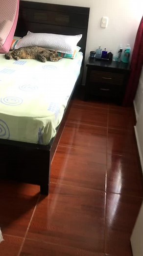 Videos de Aleja🤪🤩 (@aleja__1209) con “sonido original - Aleja🤪🤩”