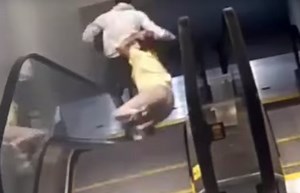 Snatched! Woman dragged down mall escalator by purse thief