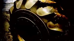 21K views · 348 reactions | It's OFFICIAL! Trucks Gone Wild spring break - March 23-26. Let your friends know - we will see ya there!!! | RYC Mud Park | Facebook