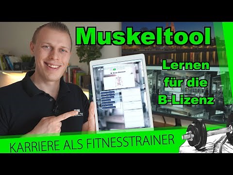 Neues Muskeltool! Leicht & einfach für die B-Lizenz Prüfung lernen | Ansatz Ursprung & Funktion üben