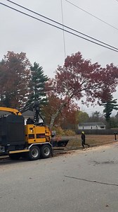 Tree removal made safe, precise, and mess-free. 🌲 We don’t just cut down trees, we do it the right way. Using our specialized equipment - Crane, lift, and chipper, our fully insured team ensures your property stays protected. Lawn mats when necessary, stump grinding, and detailed cleanup mean you’re left with a clean, damage-free yard every time. With over 30 years of experience and Tim Bradley, Certified Arborist, leading the team, you get more than just a tree removal—you get peace of mind, s