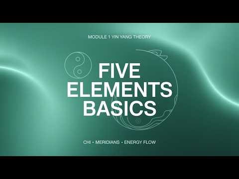 Module 1 – Yin Yang Theory Part 3 | Five Elements, Chi & Meridians in Yin Yoga