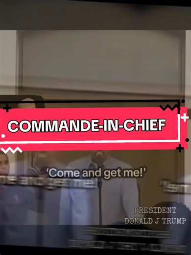 Command-in-Chief: Leadership and Strategy Unveiled
