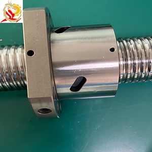 [Hot Item] Lzc Sflr2510-4 High Load Ball Screw Spline for Linear Actuator