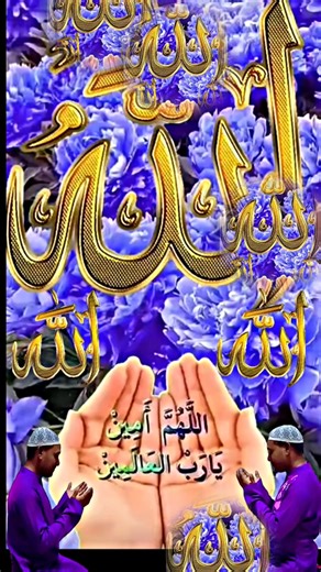 TikTok · probash jibon