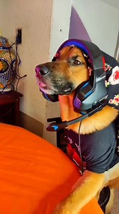 560K views · 36K reactions | Servicio al cliente 藍 | Snapy | Facebook