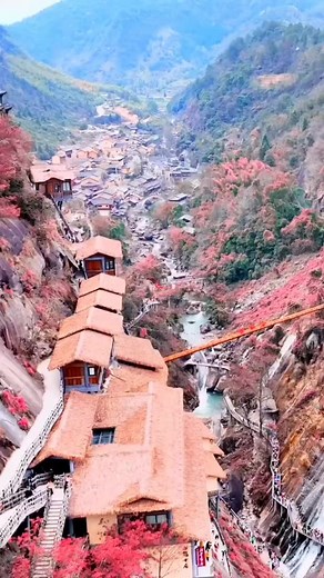 💜 | Nature gallery