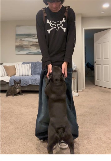 my fav fit rn#ilovemygf#fyp #y2k #southpole #fox | Y2k Fit