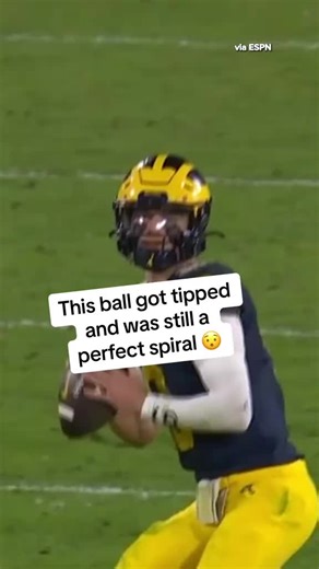 JJ McCarthy's Incredible Pass Play Explained