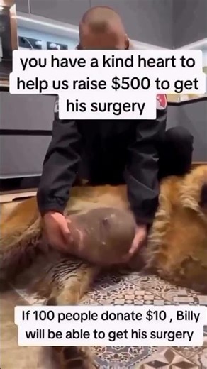 Every act of kindness matters👉 The donation link is in bio or here ➡️ PayPal: inksmoke242@gmail.com