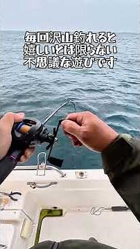 Cheap and fun is the best! Targeting red snapper with a Daiso baitcasting reel and homemade rig 🐟...