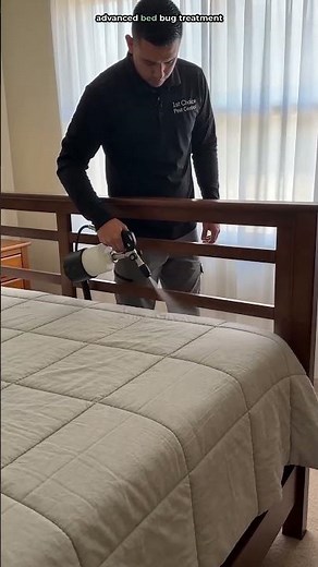 🛏️ What Do Bed Bugs Look Like?