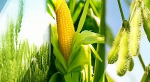 29K views · 1K reactions | The Edge Group on Reels | Facebook