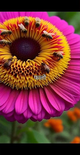 How to Boost Ads on Facebook – Complete Beginner Guide