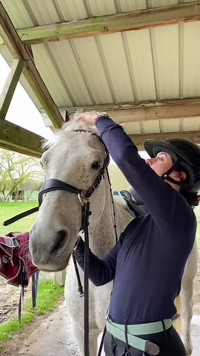 séance sans mors avec Sligo ✨ #equestrian #cheval #poney #equitation #mathildeetsligo