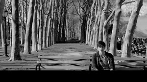 Optimum Triple Play - Wuzzle