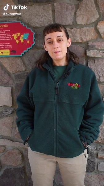 Some red panda #funfacts to celebrate that there’s a movie about red pandas coming out today! #redpanda #turningred @Disney