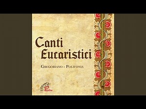 Anima Christi