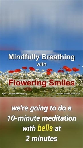 Transformative 10 Minute Mindful Breathing Meditation with Bells