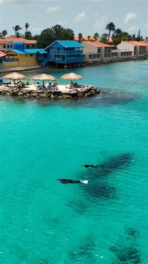 Dive into Bonaire for the ultimate diving adventure with Divi Dive! Did you know right now you can get 10% Off 7-Night, 2-Tank Boat Dive Package!? 🌊🐠 🗓️ Book: Now – June 30, 2024 ✈️ Travel: Now – Dec 20, 2024 Promo Code: DIVE10 - https://brnw.ch/21wKATr Tag your diving buddy! #DiviDive #DiviFlamingoBeachResort #Bonaire #TravelBonaire #Dive #ScubaDive #Snorkel #DivePackage | Divi Resorts