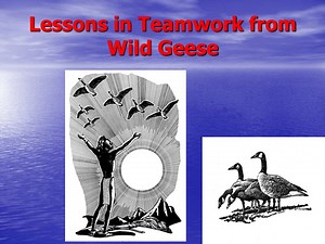 Lessons in Teamwork from Wild Geese - SlideServe