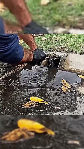 Chemical Free Drain Unclogging: Natural Solutions