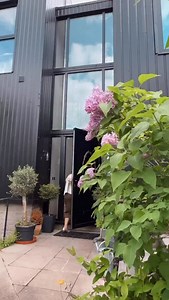 For years, I dreamed of finding the Georgian gem with a walled garden waiting to be brought back to life, tall ceilings, sash windows and filled with stories 🤎 . . . . #aboutme #housesearch #cosyhome #restoration #moving | Shnordic