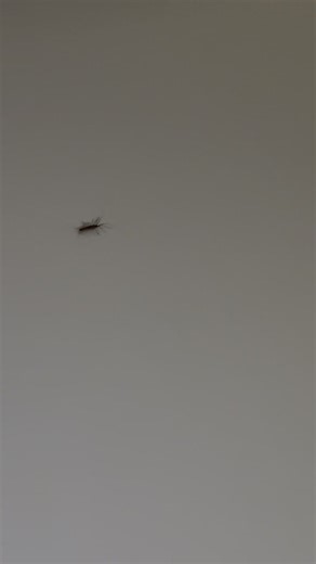 Evan Dermon (@dermo_14)’s videos with original sound - Evan Dermon