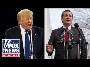 Trump, Cruz hold 'MAGA' rally in Houston, Texas