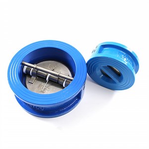 [Hot Item] Disc Check Valve Check DN150 Ductile Iron Butterfly Disc Dual Plate Water Check Valve
