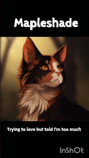 Matching warrior cats to the lyrics #warriorcats #firestar #ivypool #mapleshade #hollyleaf