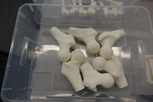 Delving into the art (instead of science) of anatomy ⋆ X-Reality: University of Michigan XR