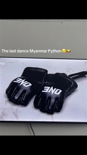 The Last Dance: Myanmar Python's Final Performance