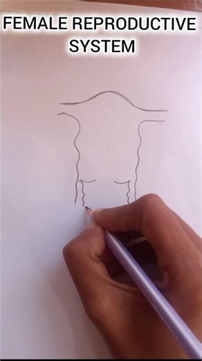 "Female Reproductive System"....💯#biology #science #students