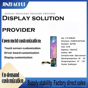 [Hot Item] OLED Manufacturers Directly Supply 3.19-Inch Amoled Screen 262*968 Display 550 Brightness Module