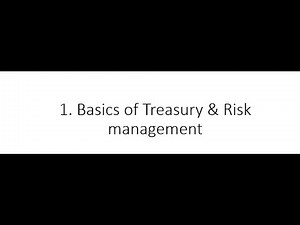 1.1 SAP Treasury and Risk Management Basics