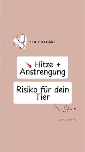 Die Meisten Notfälle sind vermeidbar!