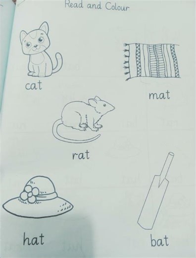 3 Exercises For Reading Practice | Homeschool Guide