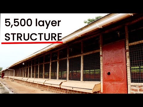 Step by step construction of a 5,500 layer coop (ENGLISH)