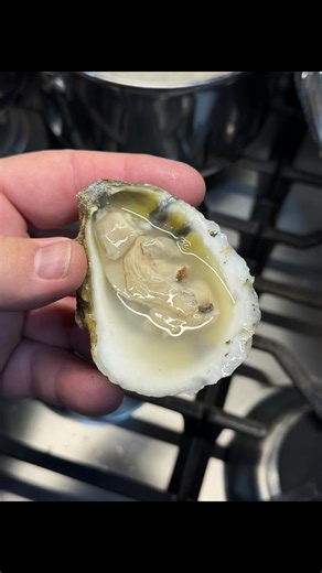 @CrabsToGo #oysters #oyster #seafood #pitbosswaterfowl